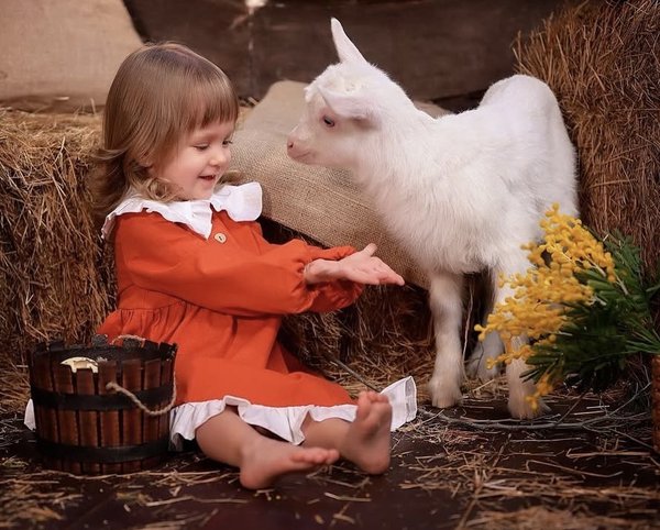 Пасха с утятами и козленком 